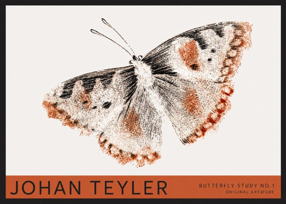 Johan Teyler Butterfly Study No.1 No2 - Poster