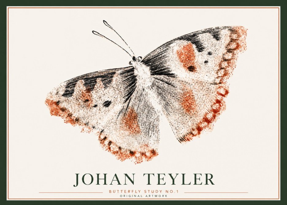 Johan Teyler Butterfly Study No.1 No3 - Poster