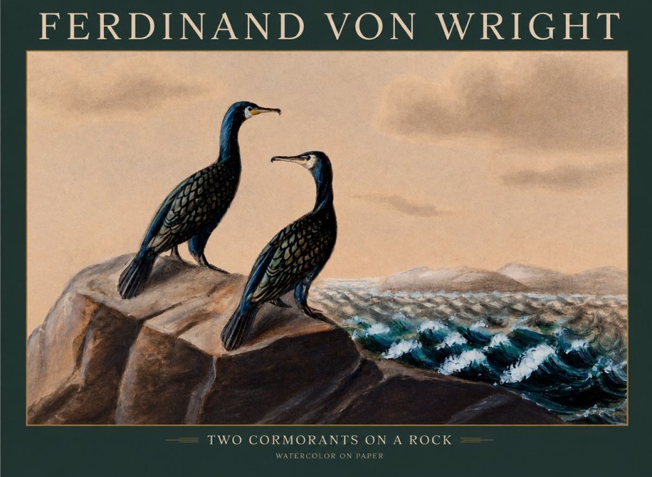 Ferdinand von Wright Two Cormorants on a Rock No1 - Poster