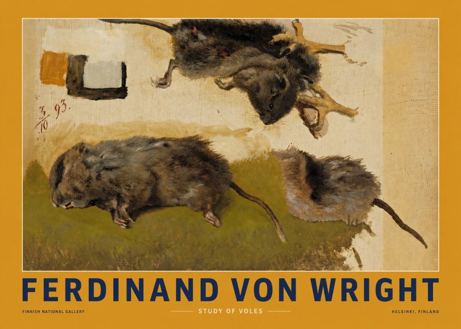 Ferdinand von Wright Studies of Lemmings No3 - Poster