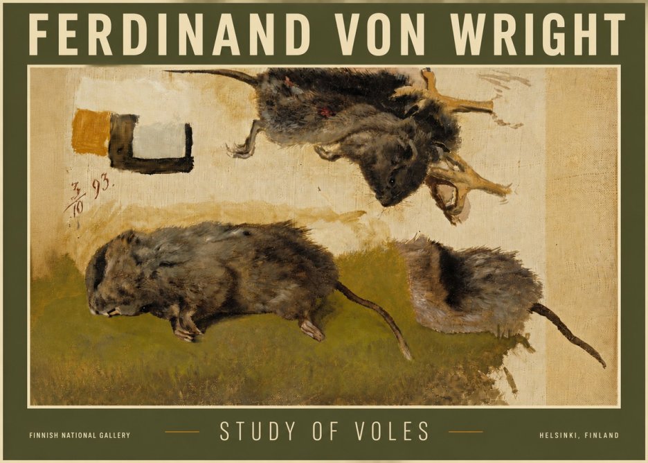 Ferdinand von Wright Studies of Lemmings No6 - Poster