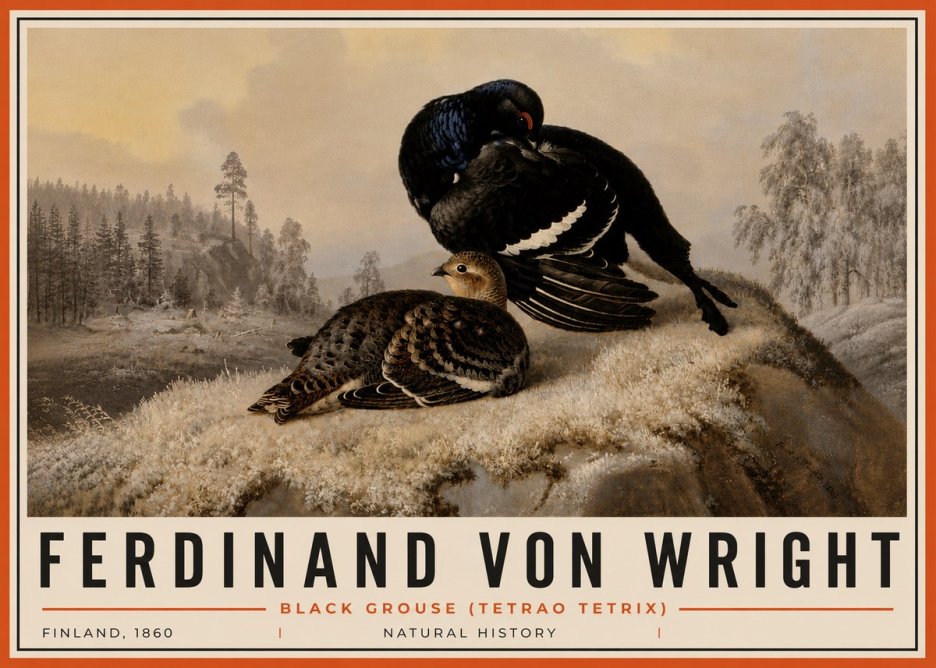 Ferdinand von Wright Black Grouse (Tetrao Tetrix) No6 - Poster