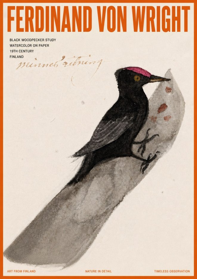 Ferdinand von Wright Black Woodpecker Study No5 - Poster