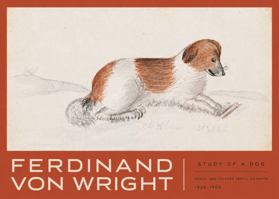 Ferdinand von Wright Study of a Dog No3 - Poster