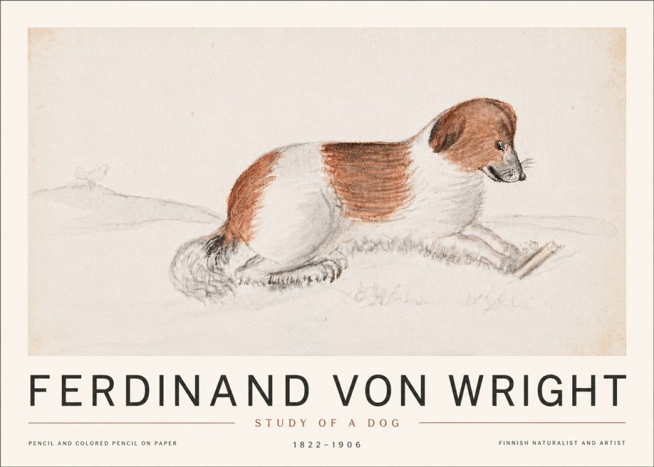 Ferdinand von Wright Study of a Dog No6 - Poster