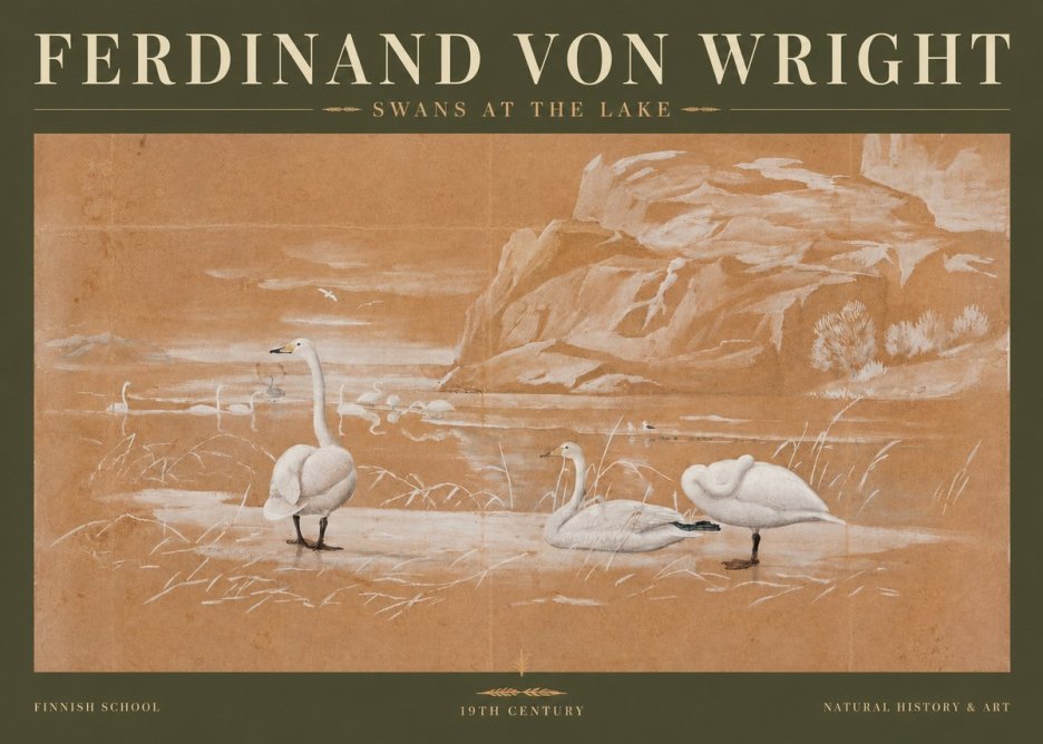 Ferdinand von Wright Swans at the Lake No3 - Poster