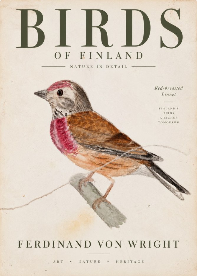 Ferdinand von Wright Bird Study No4 - Poster