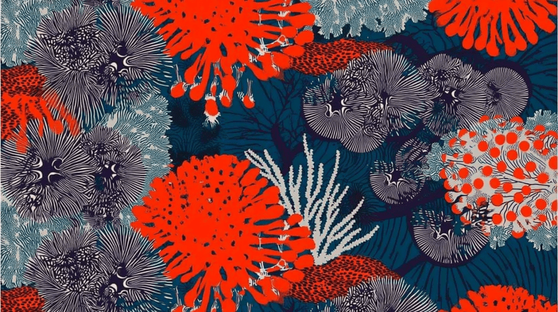 Uploaded
wallpaper