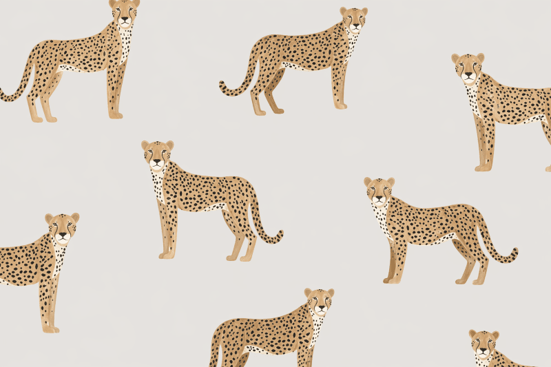 Uploaded
wallpaper