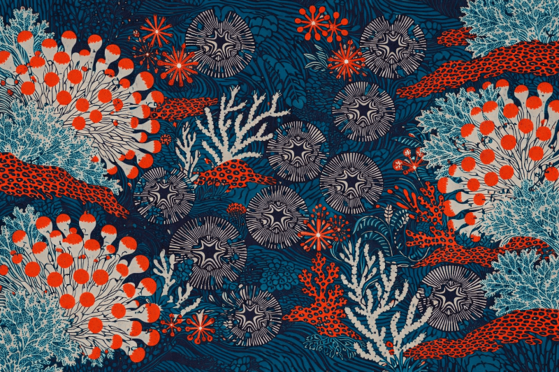 Uploaded
wallpaper