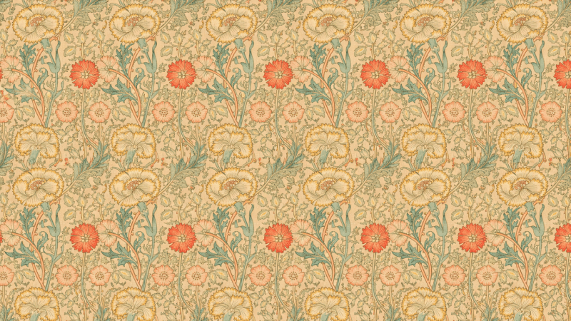 Uploaded
wallpaper