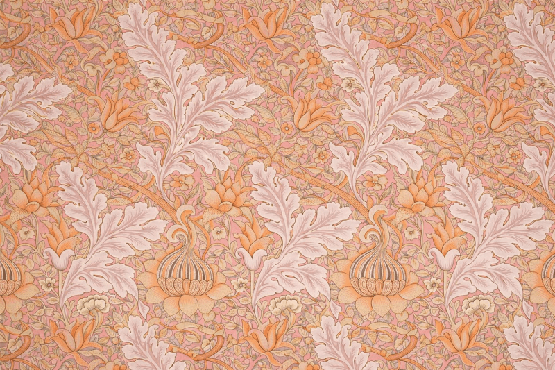 Uploaded
wallpaper