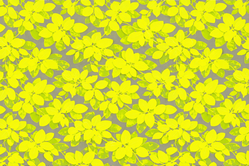 Uploaded
wallpaper