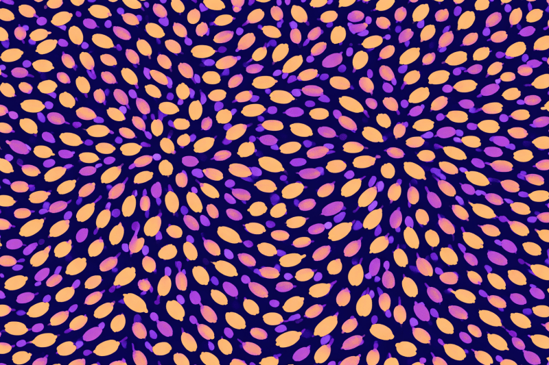 Uploaded
wallpaper