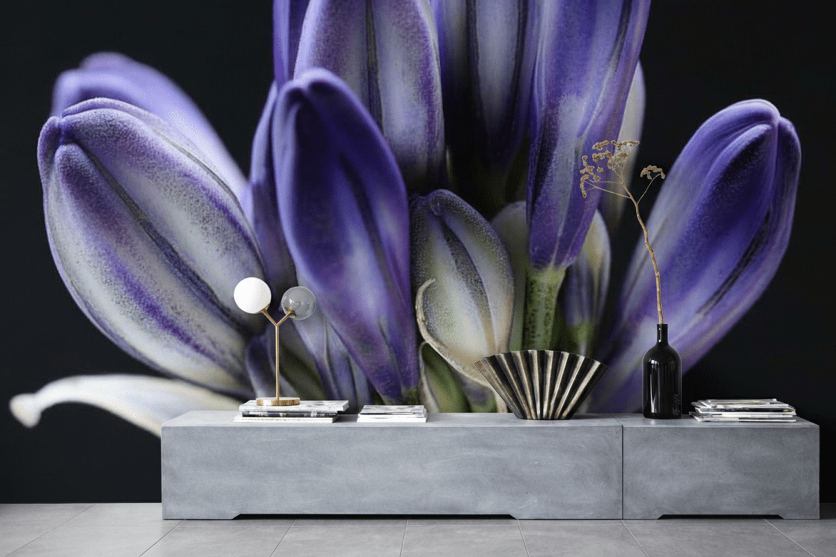 Fjord Reverberations