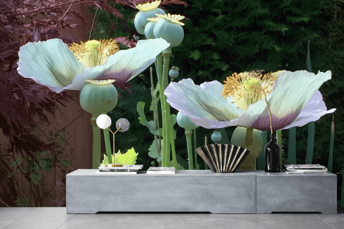 Whimsical Poppy Fields