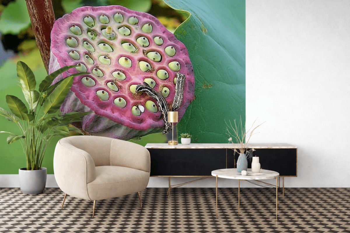 Lotus Seed Harmony