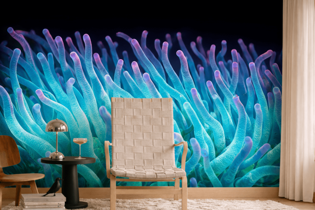 Coral Reefs Tundra
