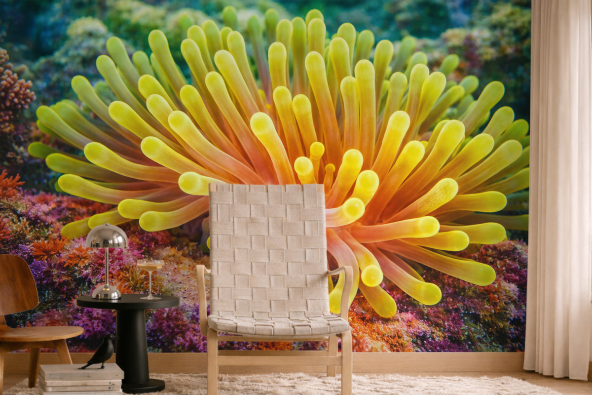 Amber Anemone Garden