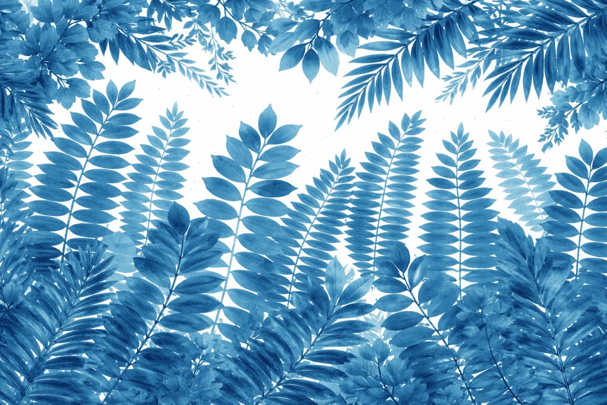 Indigo Foliage Mural