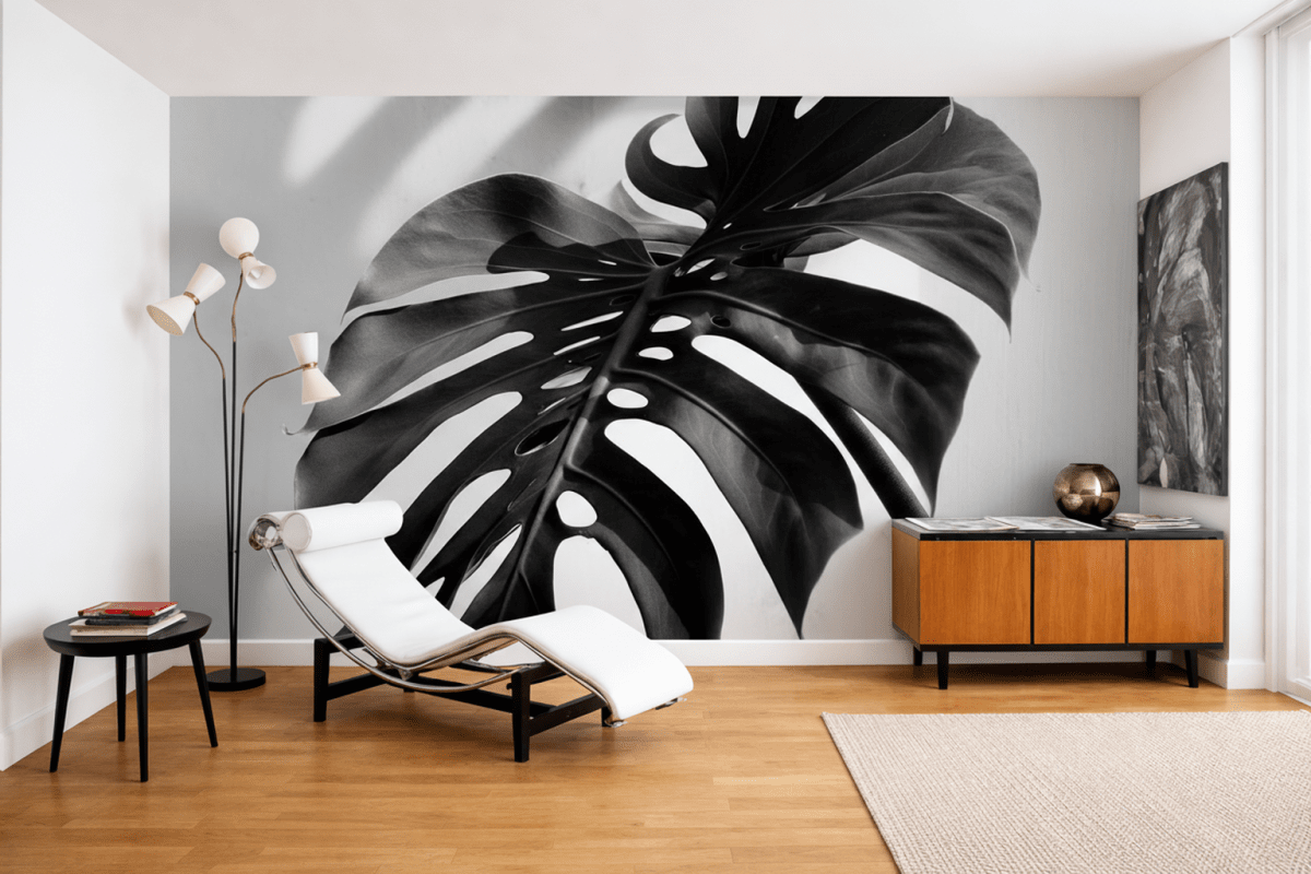 Monstera Shadow Ii