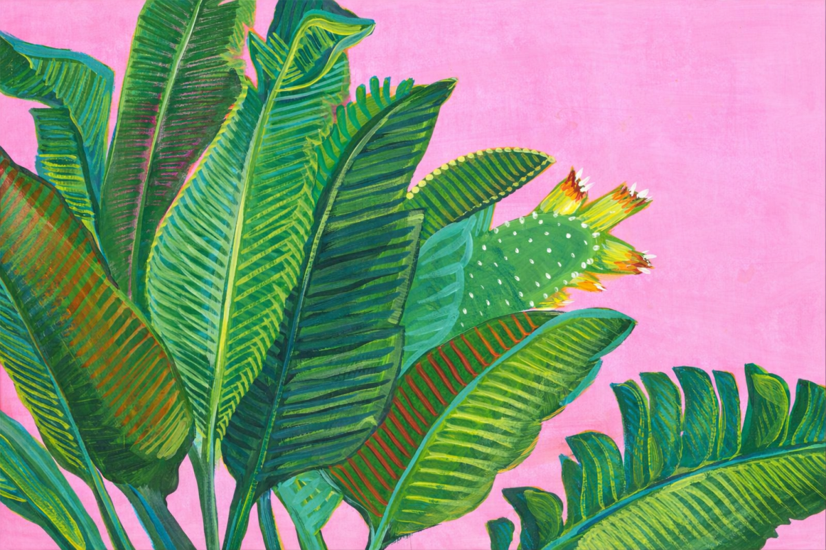 Tropical Sanctuary