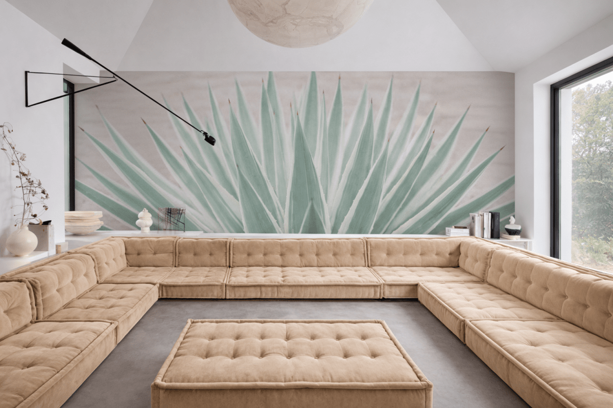 Agave Illumination