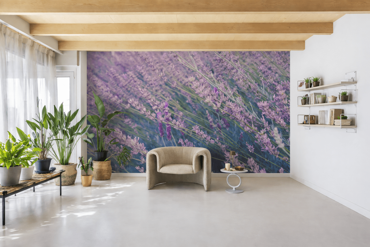 Lavender Fields