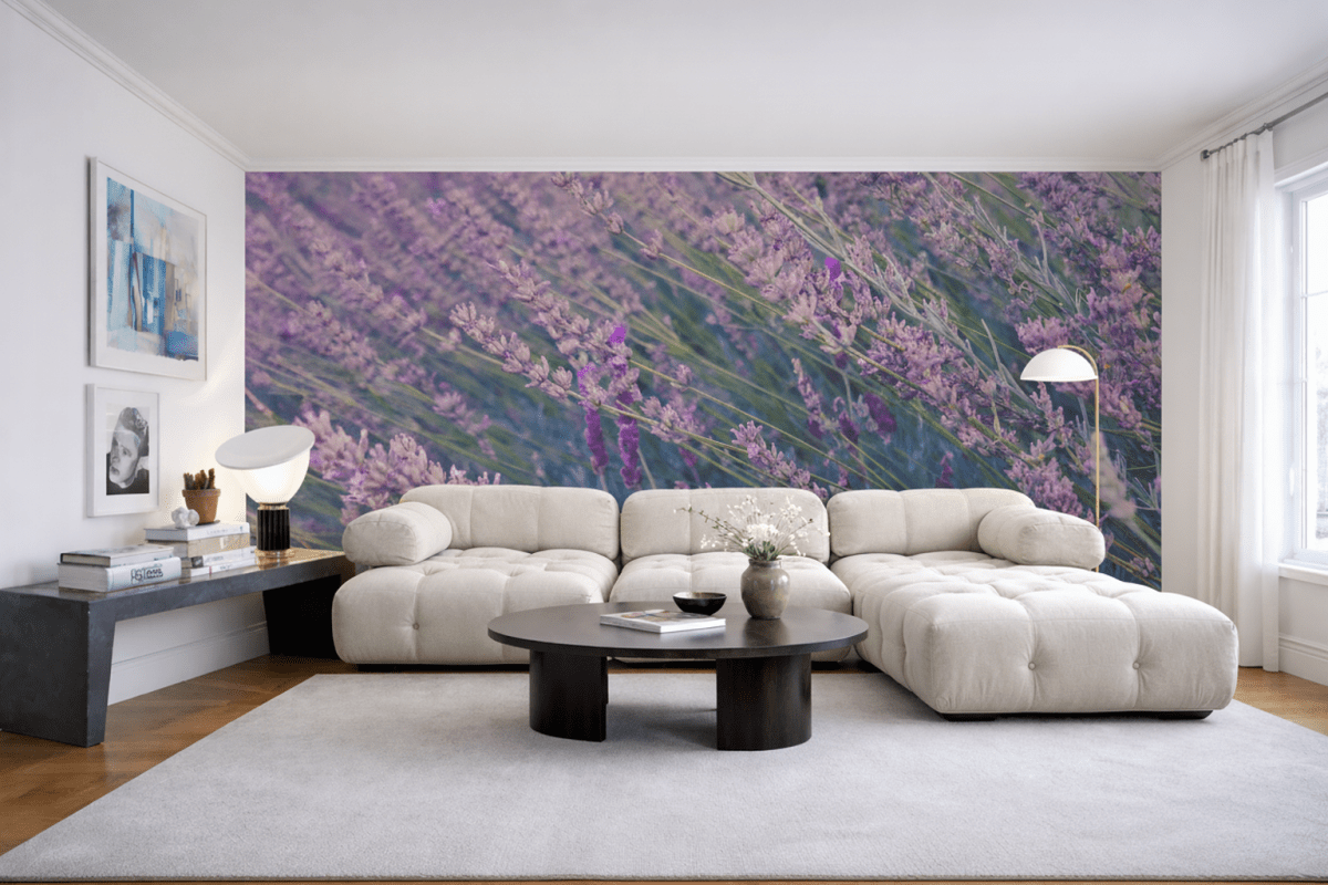 Lavender Fields