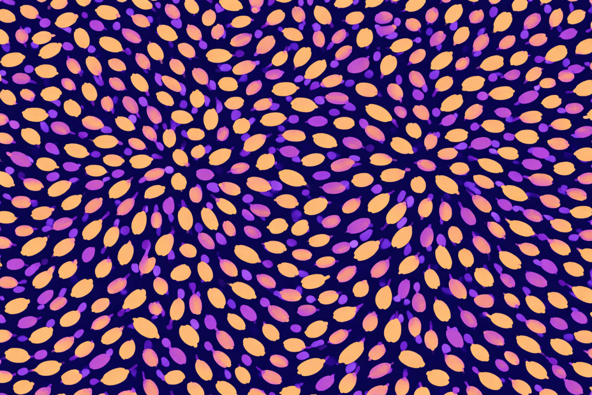 Petal Whirlwind