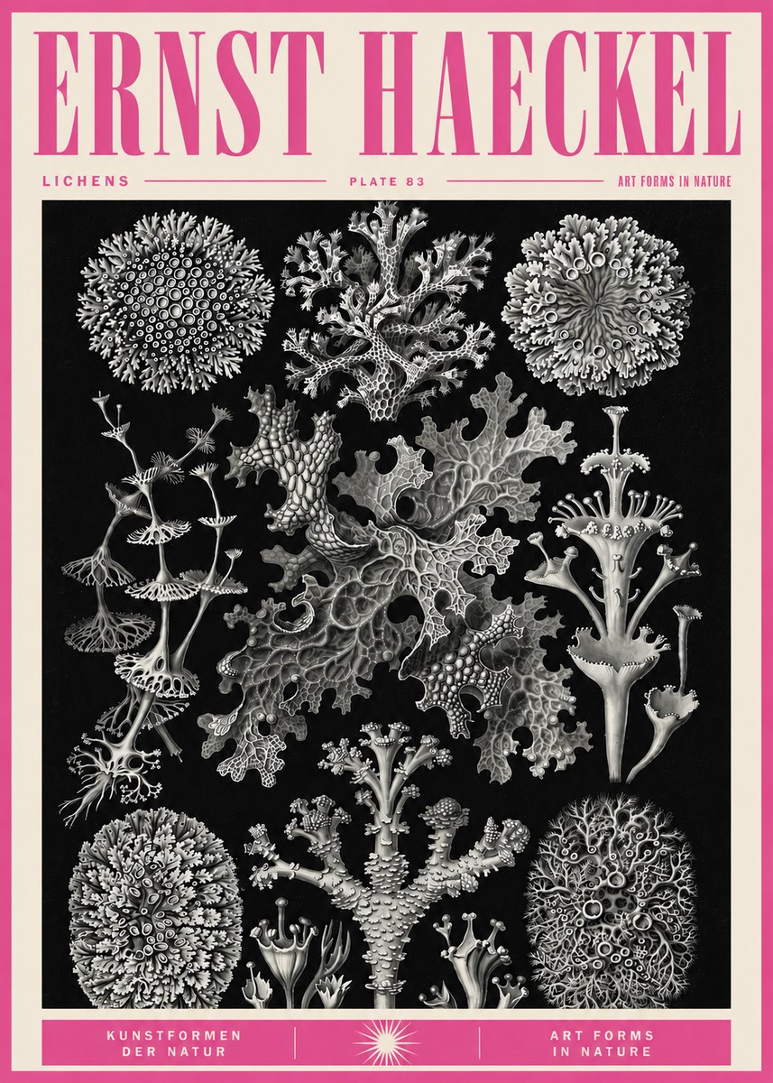 Ernst Haeckel Lichens - Plate 83 No5 - Poster