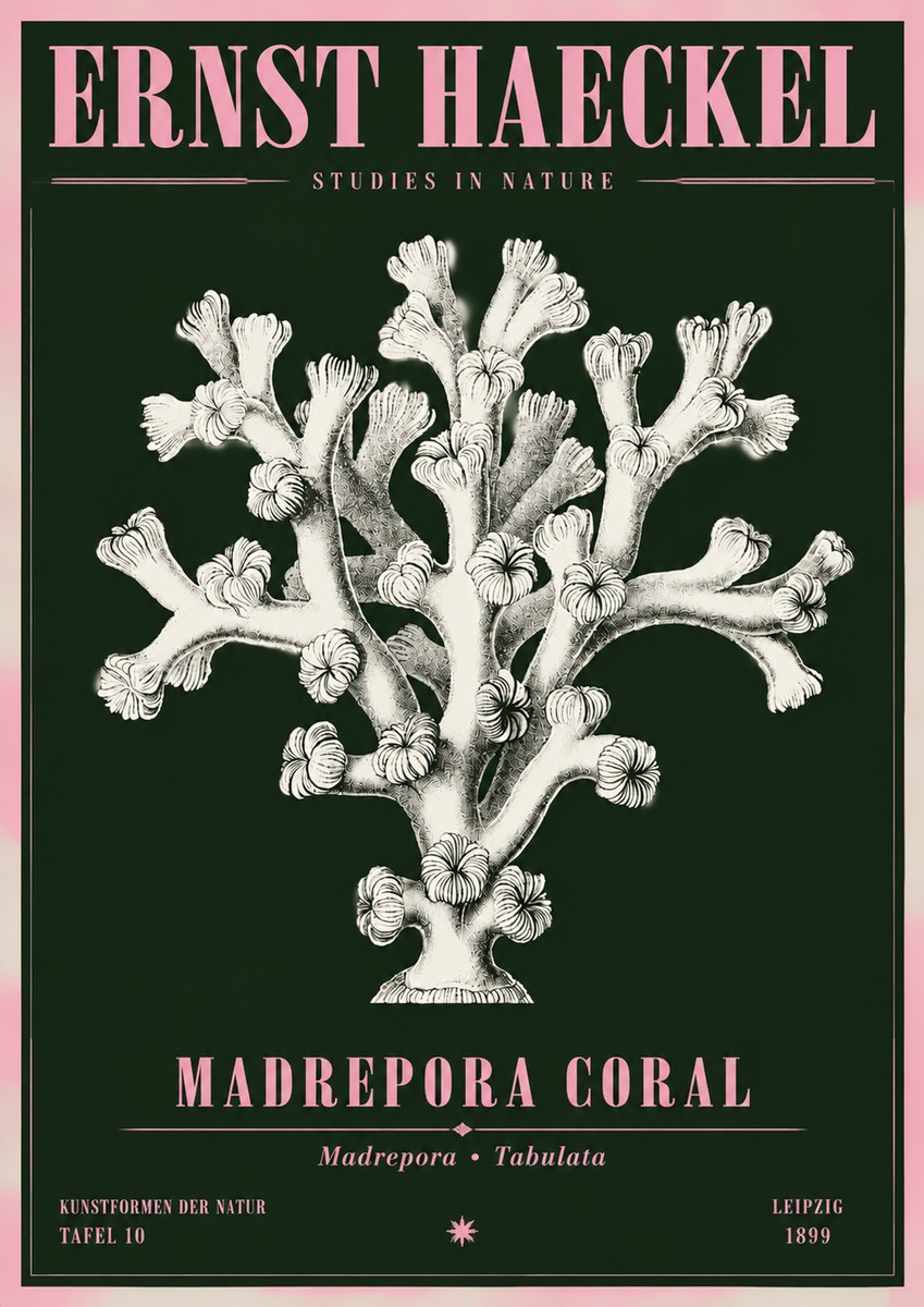 Ernst Haeckel Corallium Rubrum I No5 - Poster