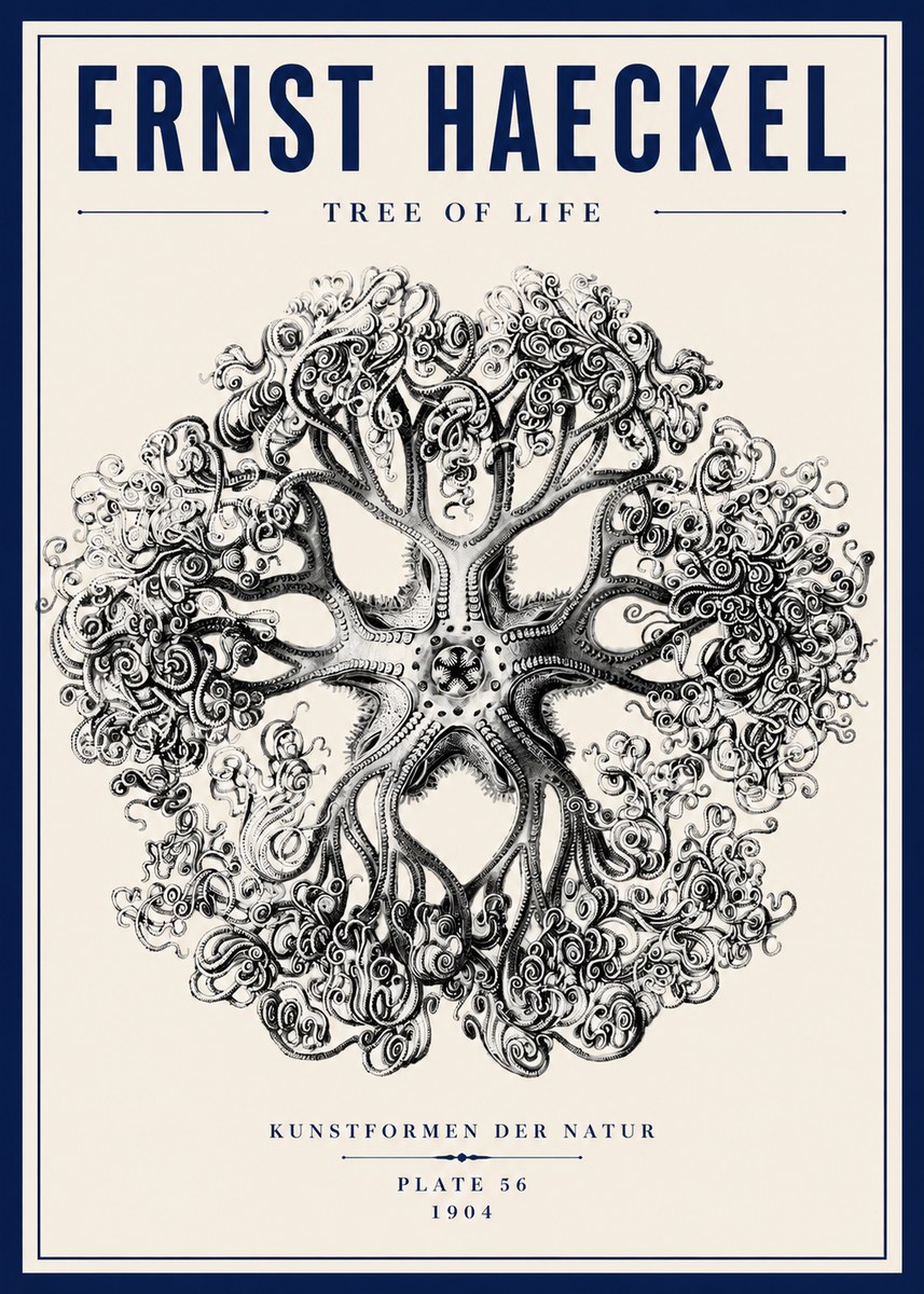 Ernst Haeckel Tree-like Organism No6 - Poster