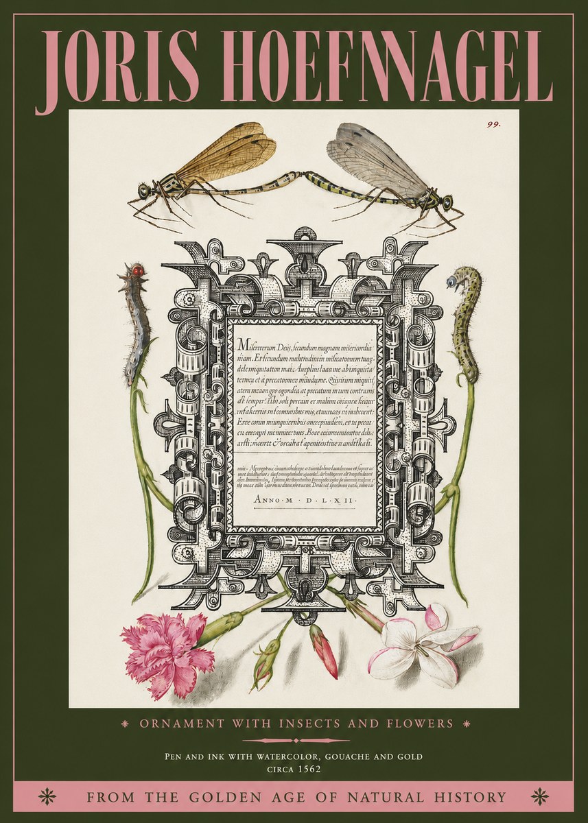 Joris Hoefnagel Ornamental Frame with Damselflies, Caterpillars and Flowers No4 - Poster