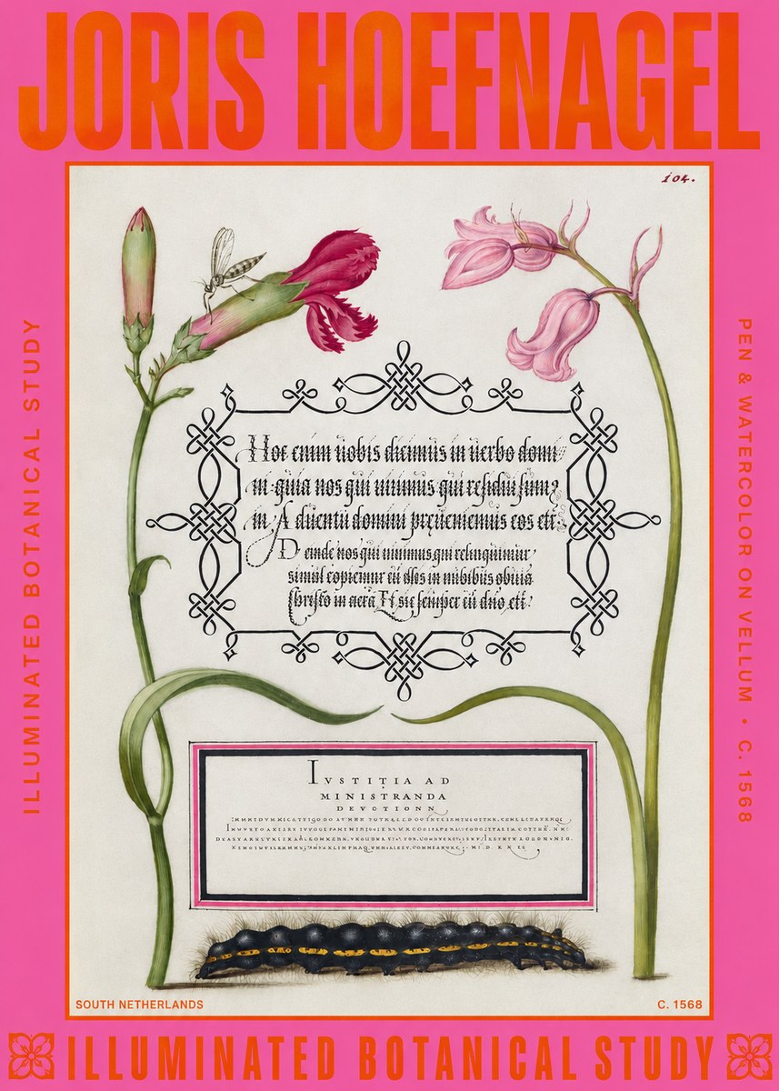 Joris Hoefnagel Floral Study with Insect and Caterpillar No6 - Poster