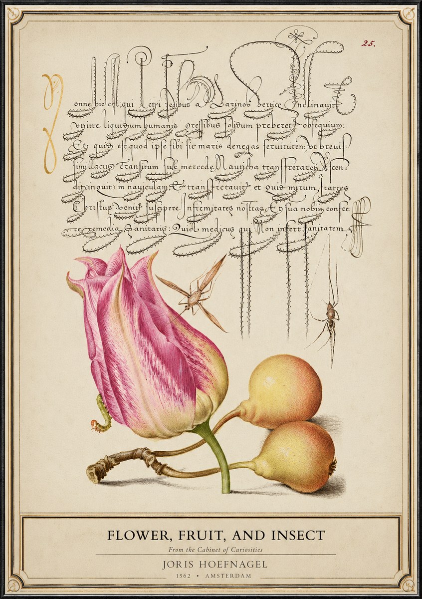 Joris Hoefnagel Tulip and Fruits with Insects No6 - Poster