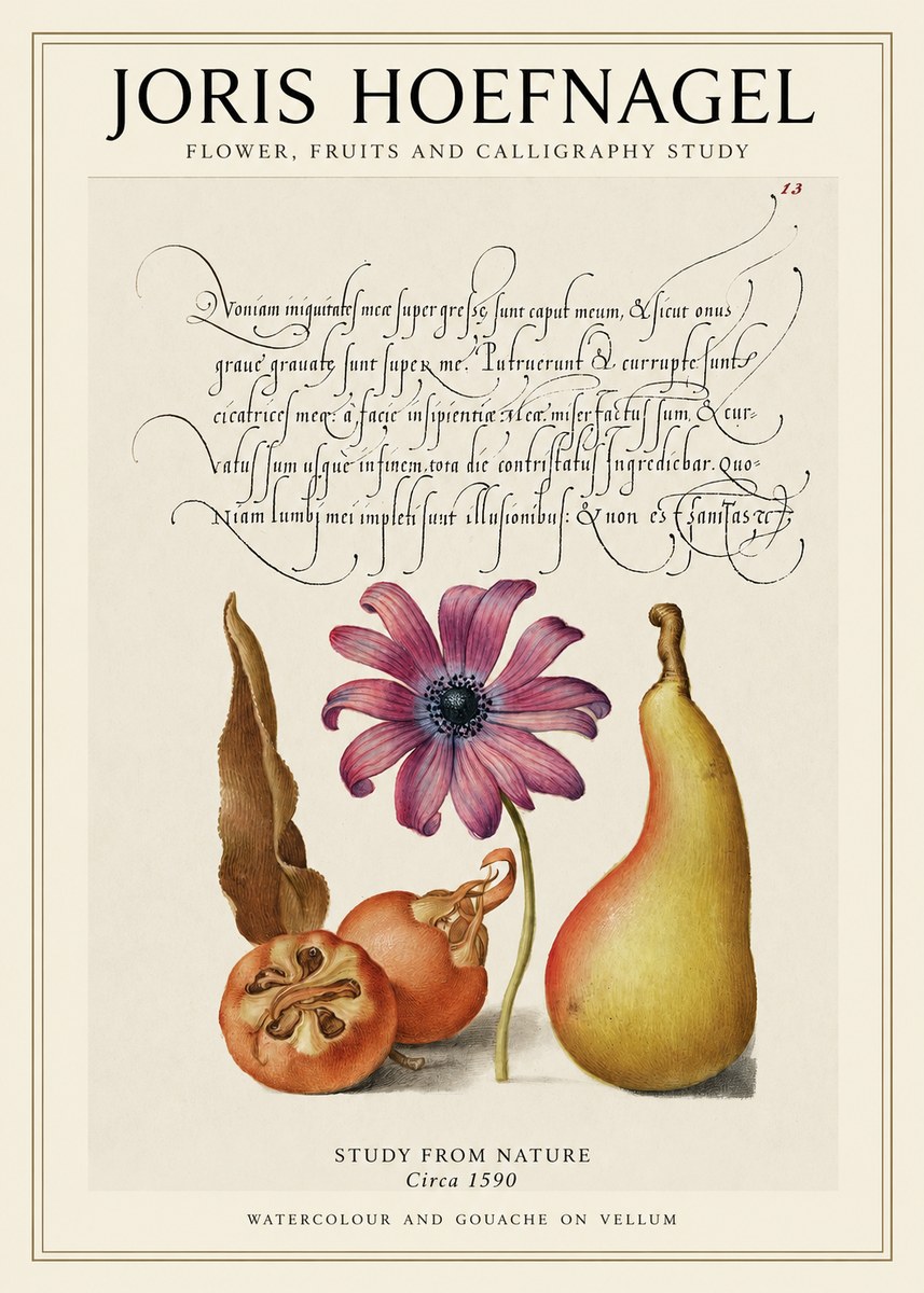 Joris Hoefnagel Study of Flower and Fruits No2 - Poster