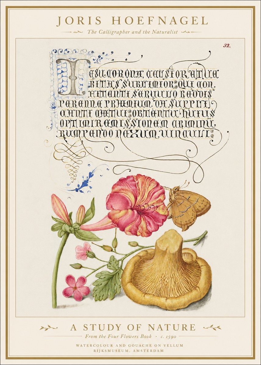 Joris Hoefnagel A Study of Nature II No1 - Poster