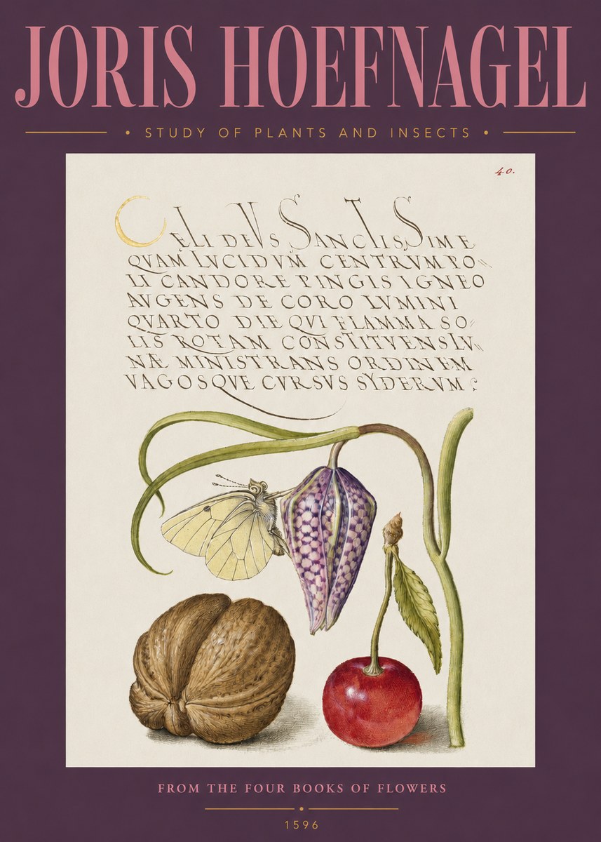 Joris Hoefnagel Study of Plants and Insects No2 - Poster