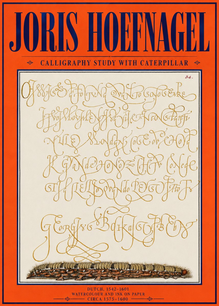 Joris Hoefnagel Calligraphy Study with Caterpillar No4 - Poster