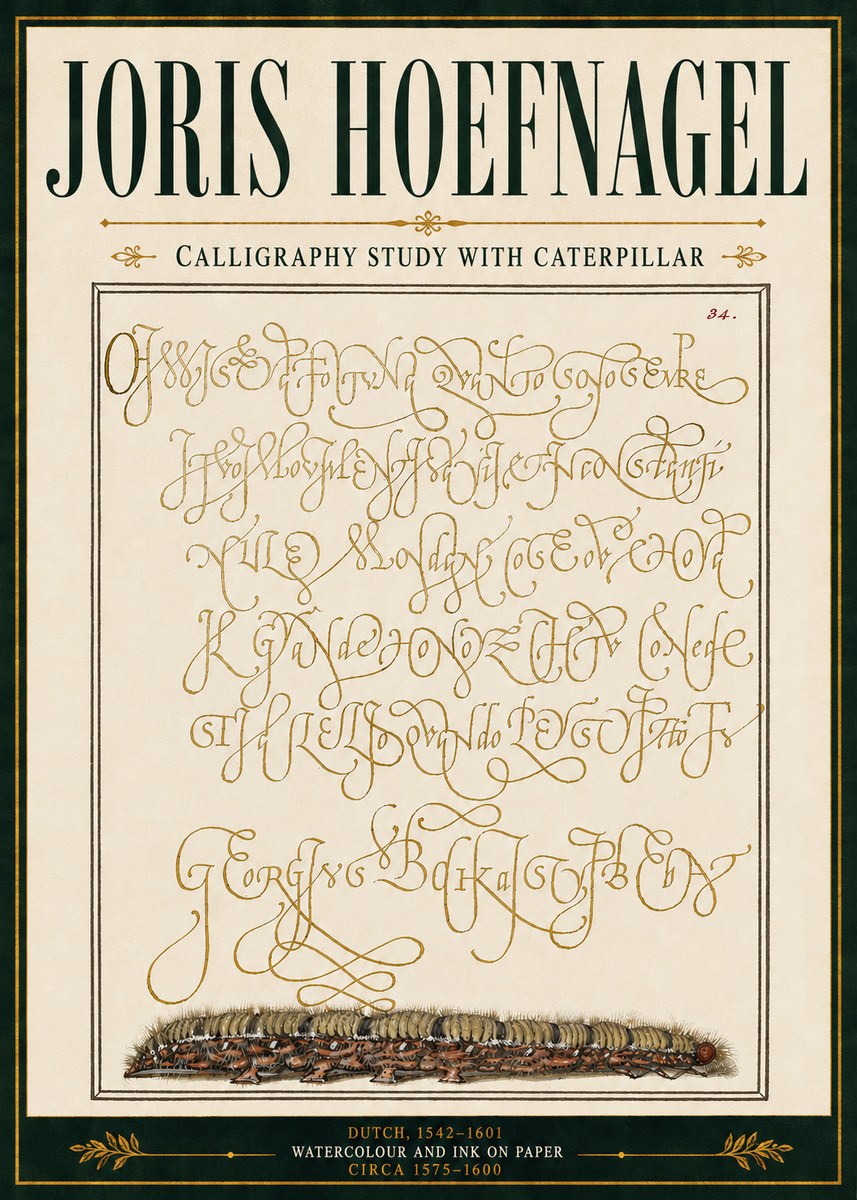 Joris Hoefnagel Calligraphy Study with Caterpillar No5 - Poster