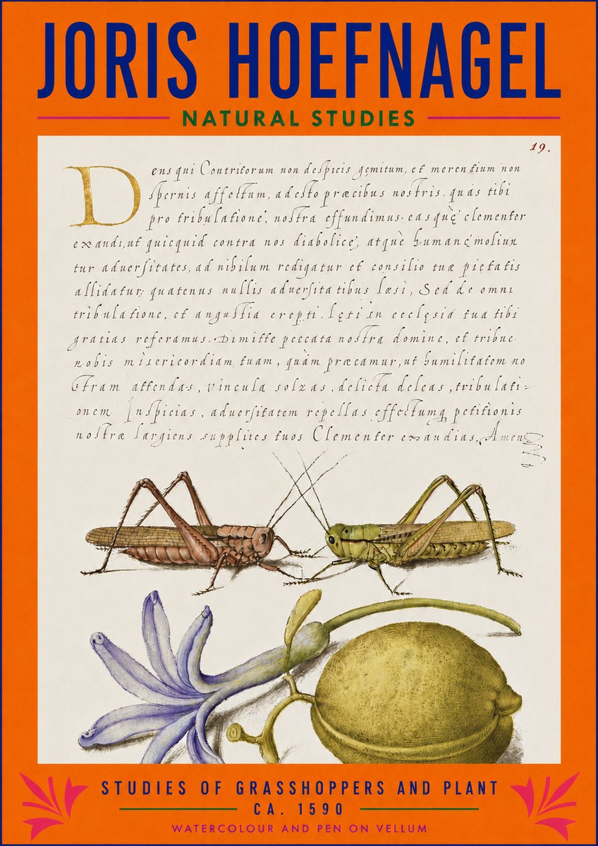 Joris Hoefnagel Studies of Grasshoppers and Plant No3 - Poster