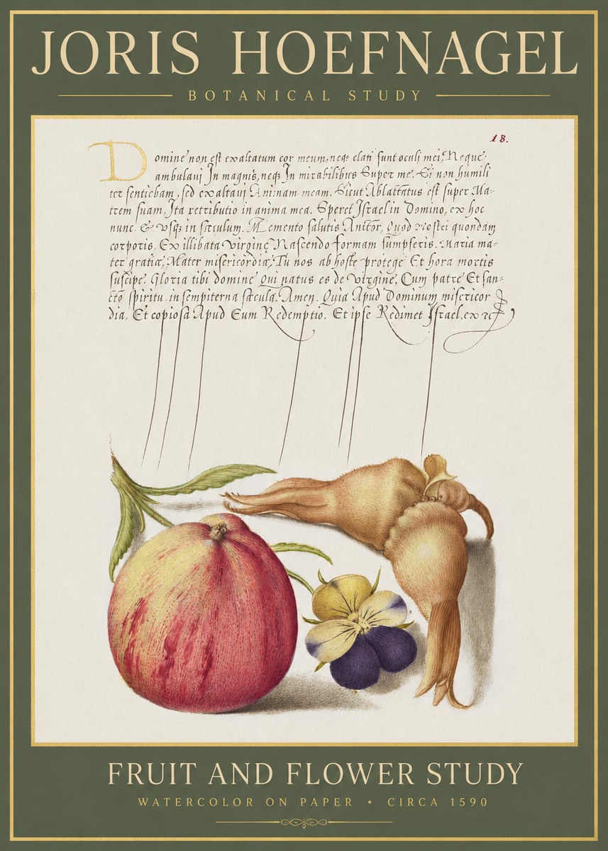 Joris Hoefnagel Fruit and Flower Study No1 - Poster