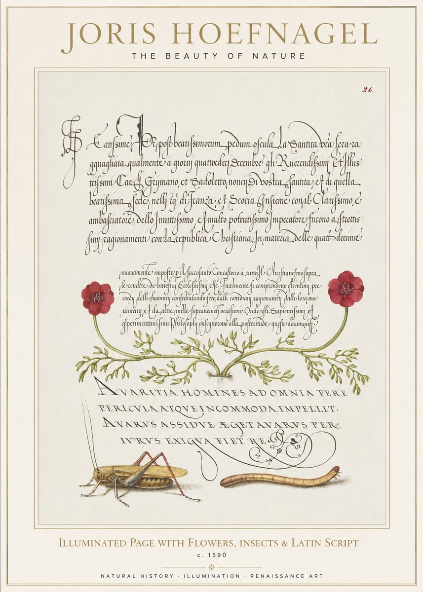 Joris Hoefnagel Illuminated Page with Flowers, Insects & Latin Script No1 - Poster