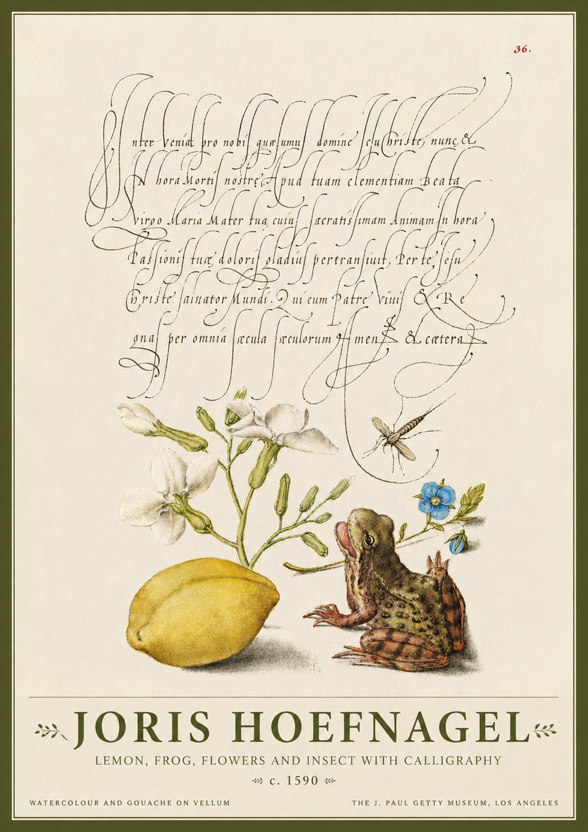 Joris Hoefnagel Nature Study with Lemon, Flowers, Frog & Insect No4 - Poster