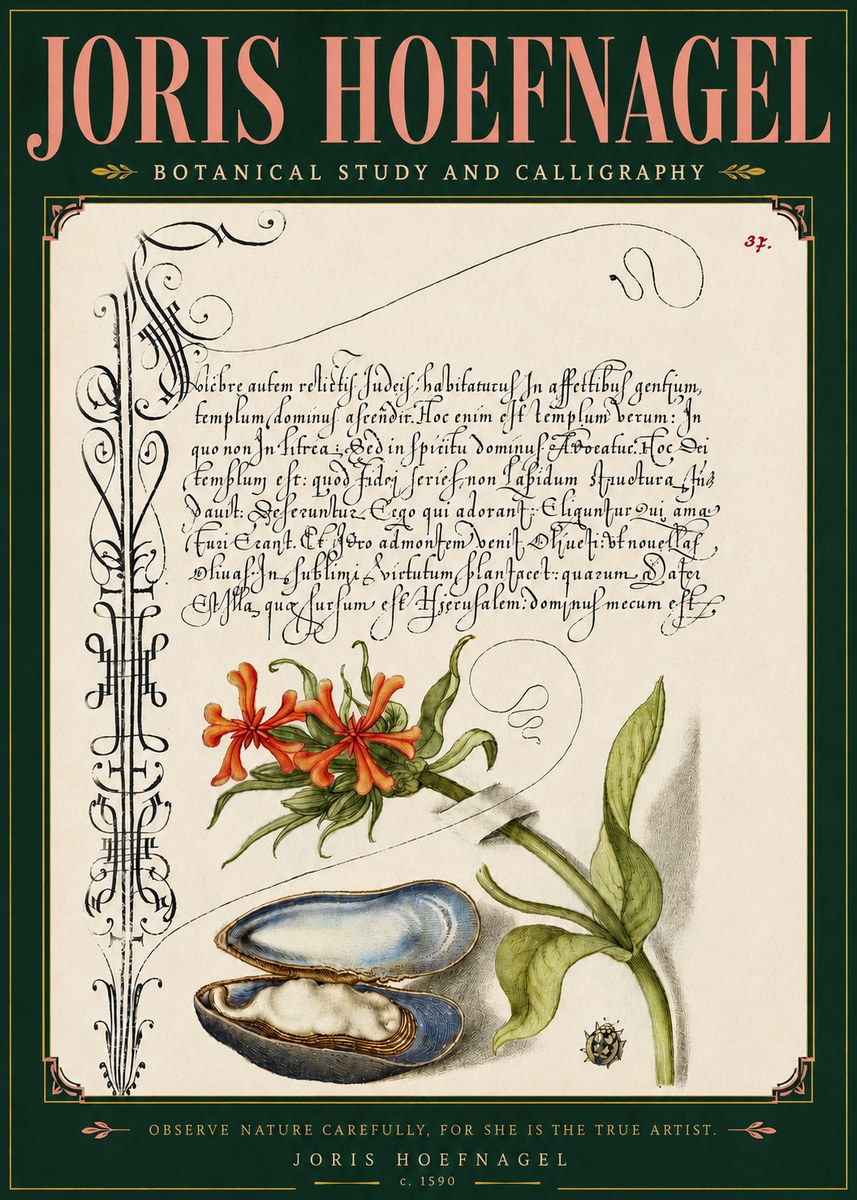 Joris Hoefnagel Botanical Study and Calligraphic Page No5 - Poster
