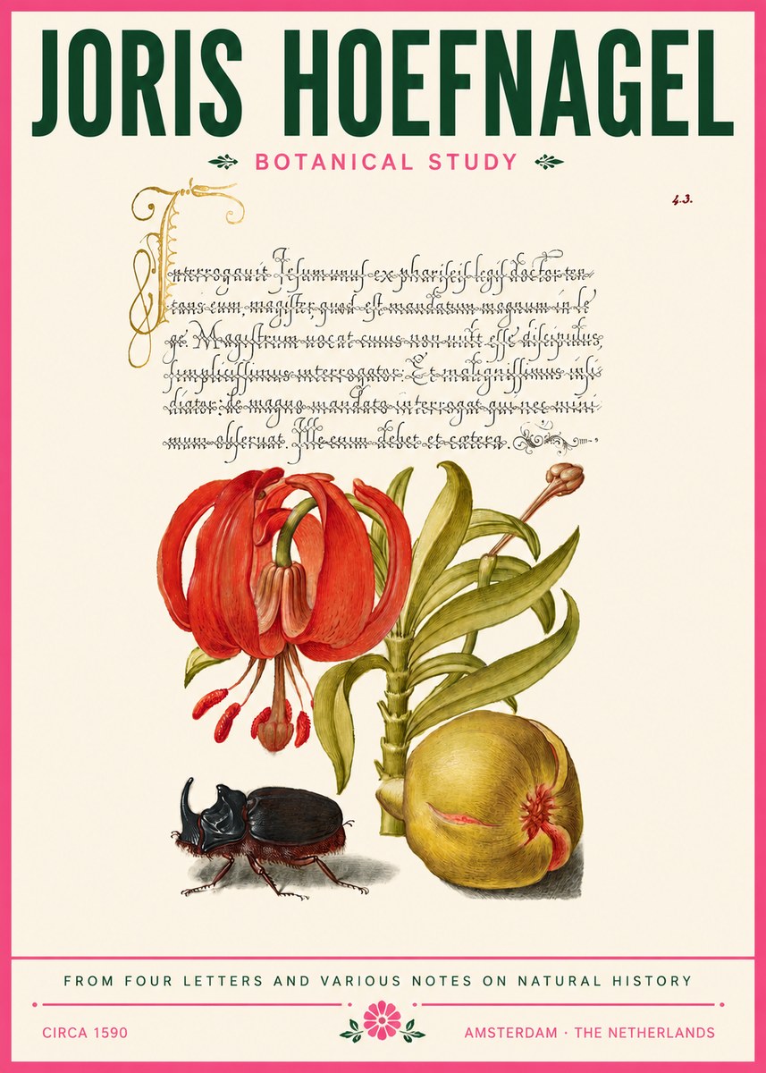 Joris Hoefnagel Botanical Study II No6 - Poster
