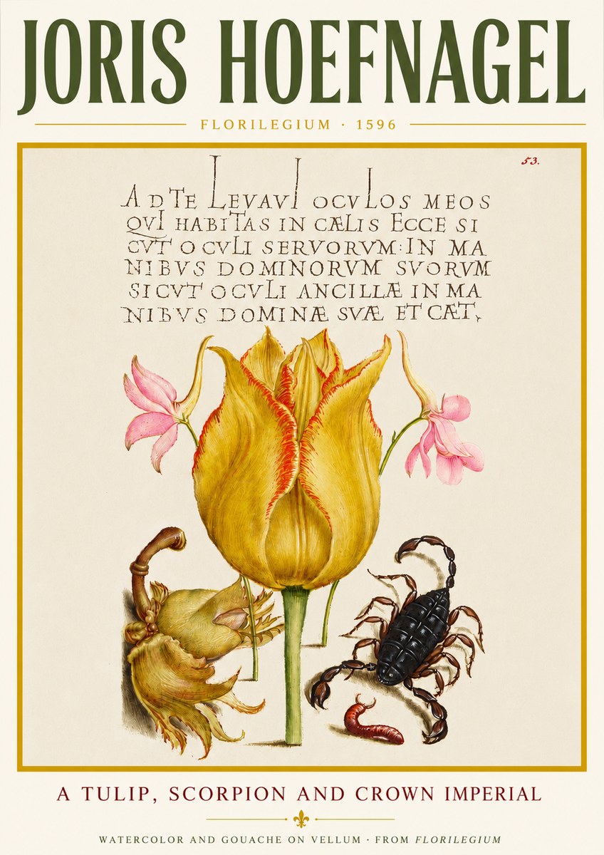 Joris Hoefnagel A Tulip, Scorpion and Crown Imperial No4 - Poster