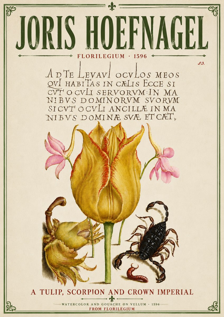 Joris Hoefnagel A Tulip, Scorpion and Crown Imperial No6 - Poster