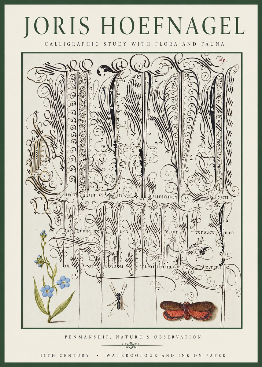 Joris Hoefnagel Calligraphic Study with Flora and Fauna No1 - Poster